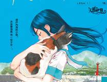 小蘑菇海报